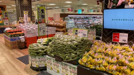 もったいないをみんなで減らす!枝豆(丹波黒黒大豆) もったいないをみんなで減らす!枝豆(丹波黒黒大豆)