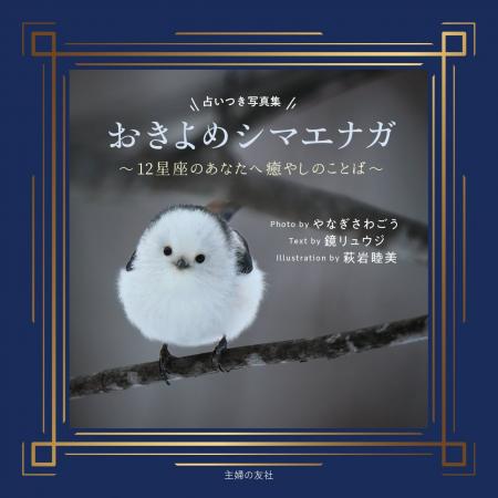 SNSフォロワー累計90万部超の写真家・やなぎさわごう SNSフォロワー累計90万部超の写真家・やなぎさわごう