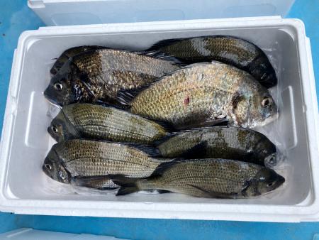 漁業資源が減少していく中、漁業継続のために魚に新し 漁業資源が減少していく中、漁業継続のために魚に新し