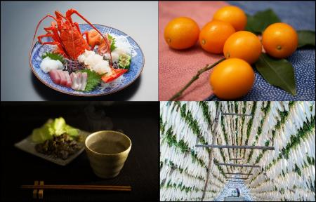 宮崎の秋冬を味わい尽くす「ひなたの恵み」グルメ 宮崎の秋冬を味わい尽くす「ひなたの恵み」グルメ