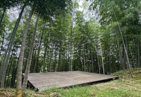 【1日1組完全貸切】1,000平方メートル の竹林をまるご