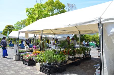 【徳島市】とくしま植物園で「第40回緑化フェア」を開