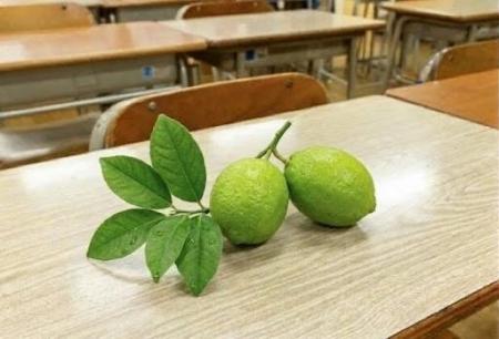 セントマティック「香りの授業」、東京コミュニティス