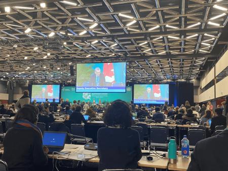 シンク・ネイチャー、国連生物多様性条約第17回締約国