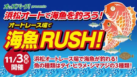 浜松オートレース場に“海魚の釣り堀”が再登場！11月3