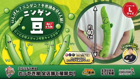 「ニンゲン？豆？」不思議な4人組がぬいぐるみに！オ