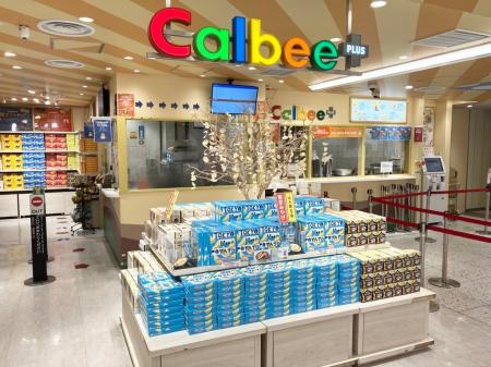 秋の「カルビープラス」に注目商品が続々! 秋の「カルビープラス」に注目商品が続々!