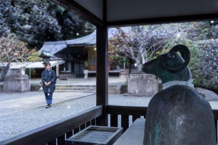 【星のや京都】知と教養の地・嵐山で、一年の知恵と福