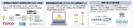 デマンドレスポンス型料金メニューと実質再生可utf-8