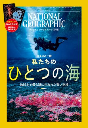 ナショナル ジオグラフィック日本版11月号 『まutf-8
