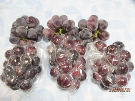 機材費5万円で劇的変化。果物の『香り・旨味』を大き 機材費5万円で劇的変化。果物の『香り・旨味』を大き