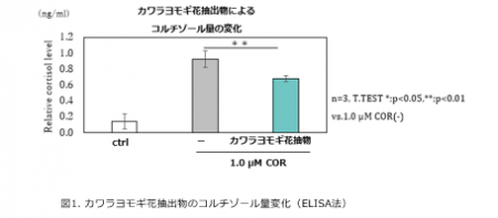カワラヨモギ花抽出物がストレスによる真皮機能utf-8 カワラヨモギ花抽出物がストレスによる真皮機能utf-8