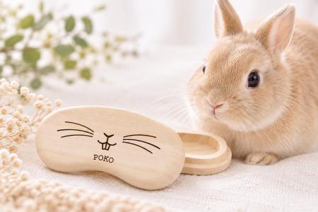 【ココロを贈る 名入れギフトOkulu】うさぎの抜けたヒ