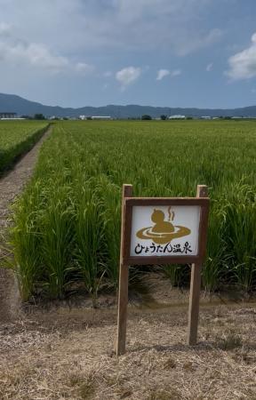 湯上がりに、ひょうたんの新米。別府・ひょうたん温泉