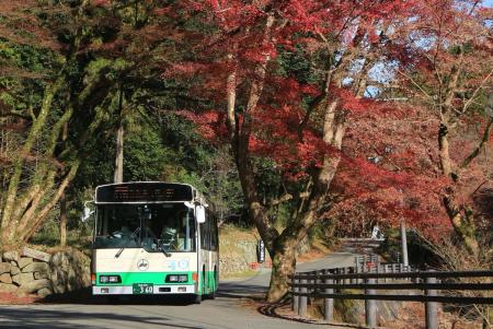 正暦寺行き臨時バスを運行 正暦寺行き臨時バスを運行
