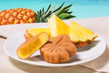 夏にぴったりの広島の新定番!?ジューシーな果肉が入っ