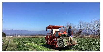 コープ自然派事業連合「冷凍野菜　国産有機ほうれん草