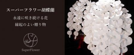 慶應義塾大学大学院とMICOHANA株式会社と共同でリユー