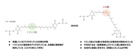 【名城大学】機能性が強化された次世代型アスタutf-8