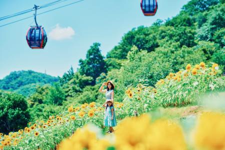 「きっと忘れない夏GARDEN FEST 2024-Summer-」がスタ