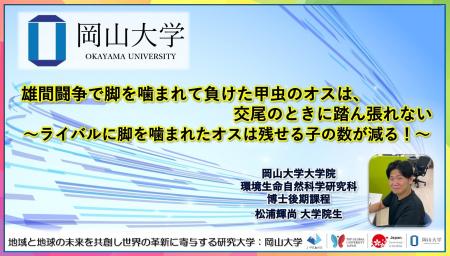 【岡山大学】雄間闘争で脚を噛まれて負けた甲虫のオス