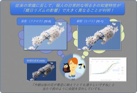 【世界初】朝の見え方が生活パターンの影響で大utf-8