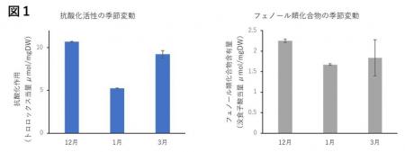 【名城大学】海苔のもつ抗酸化作用～季節変動とutf-8