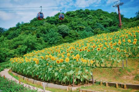 夏の人気撮影スポット！