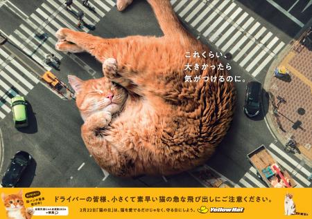 YOMIKO、第36回『交通広告グランプリ2024』において、