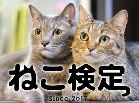 2025年3月、全国一斉に「ねこ検定」開催決定！東京農