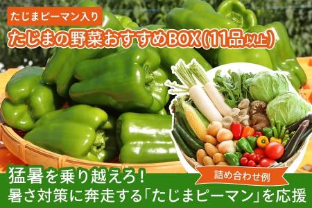 ～猛暑を乗り越えろ！暑さ対策に奔走する「たじまピー