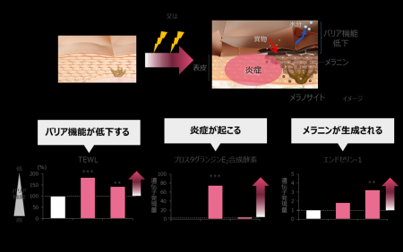 「ネイルを楽しむ」が、ときに皮膚トラブルにつutf-8