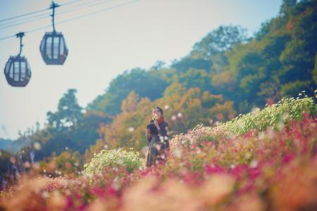 ”秋が来た”山上のリゾート”神戸布引ハーブ園”で「Gard