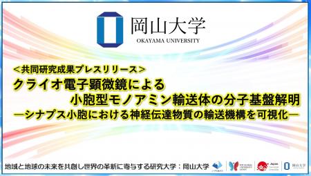 クライオ電子顕微鏡による小胞型モノアミン輸送体の分