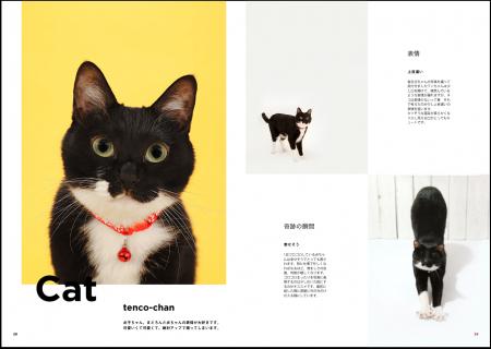 Web上で簡単に本を作れる「Booko」新たなテンプutf-8