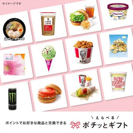 新サービス「えらべるポチッとギフト」提供開始