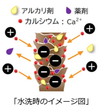 髪の「パサつき」「うねり」の原因は水道水のカutf-8