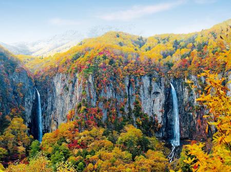 壮大な二条の滝と紅葉のコントラスト　米子大瀑布（日