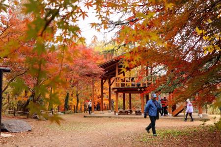 『嵐山渓谷紅葉まつり』をアウトドアの人気スポutf-8