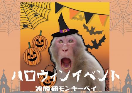 サルと過ごすハロウィン！？波勝碕モンキーベイでハロ