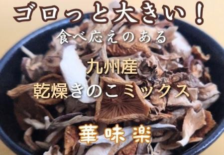 栄養補給に！ゴロっと大きい乾燥きのこを新発売