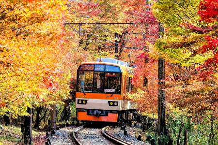 京都・叡山電車沿線のスイーツやカフェが楽しめutf-8