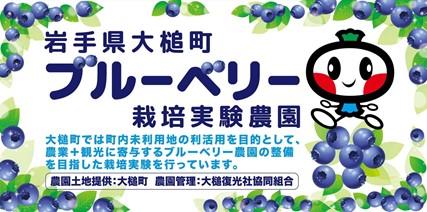 岩手県大槌町に新しい産業を！復興に向けたブルutf-8