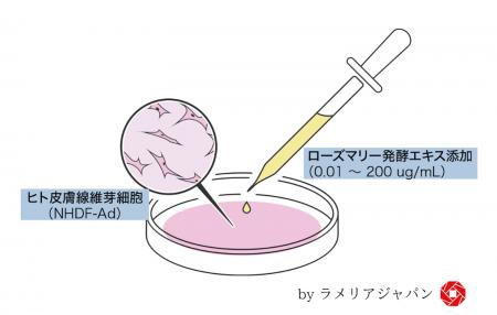 株式会社ラメリア・ジャパン、九州大学との共同研究で