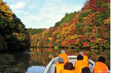 東京から90分の非日常体験　晩秋の房総半島の紅utf-8