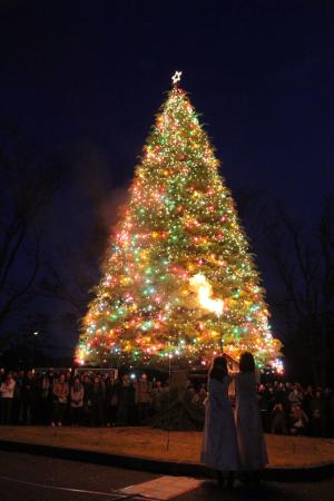 聖学院大学は11月20日にクリスマスツリー点火祭utf-8