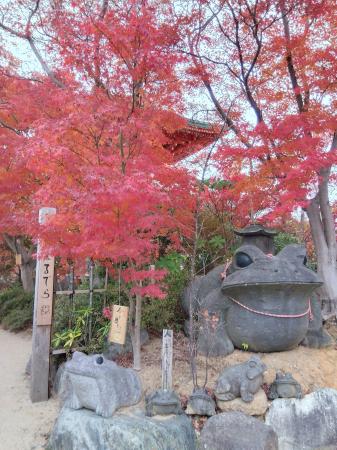 【福岡県小郡市】紅葉スポット