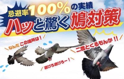 鳩が寄り付かなくなる「ハト用忌避剤PT-1」が10月にリ