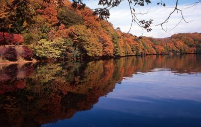 秋の伊東で紅葉を楽しもう！ 一碧湖＆丸山公園の紅葉