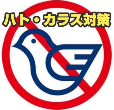 ＜ハト・カラス被害の皆様へ朗報＞ 鳩対策成功率100％